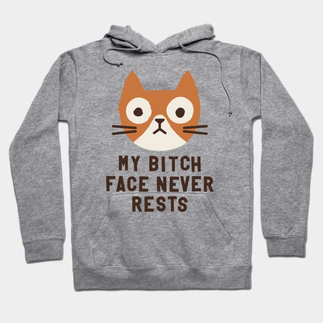 Why the Wrong Face? (cat version) Hoodie by David Olenick